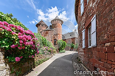 Rhododendrons adorn red sandstone fence alongÂ pavement leading to 16 century Ramade de Friac house Stock Photo